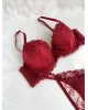 Enchanted Lace Lingerie Set